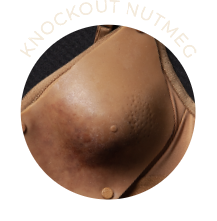 image of Knockout Nutmeg bra